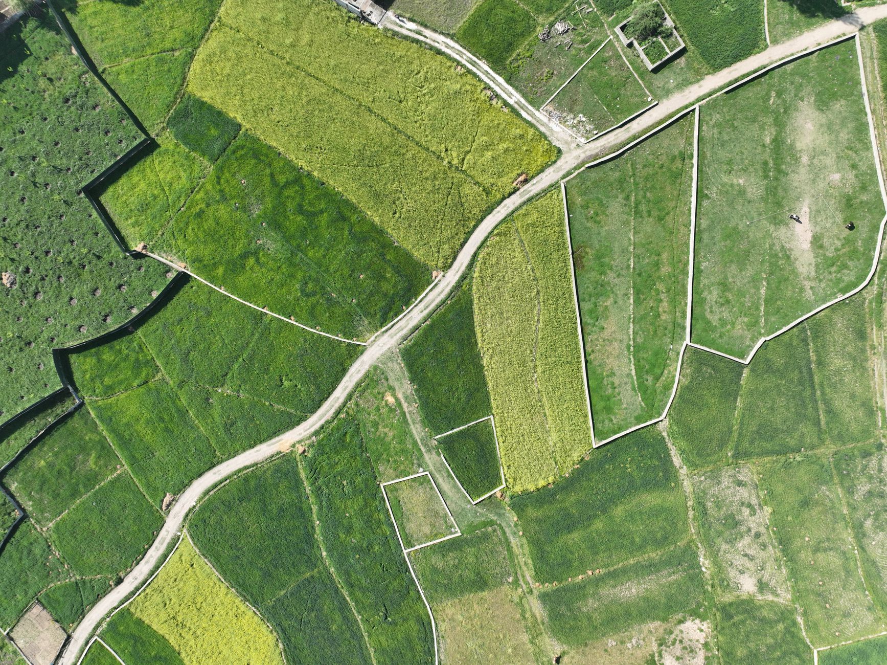 aerial footage of cropland
